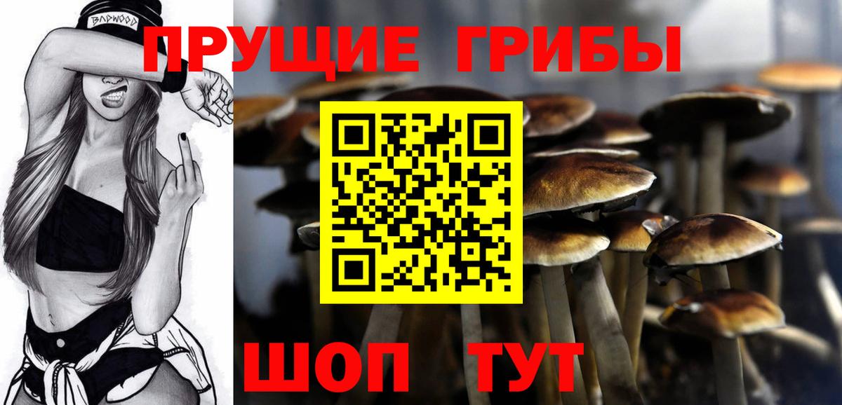 Псилоцибиновые грибы ЛСД  закладка  Будённовск  Галлюциногенные грибы Psilocybine cubensis  Вход с VPN 